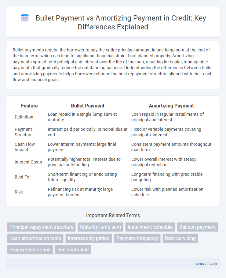 Bullet Payment vs Amortizing Payment in Credit: Key Differences Explained