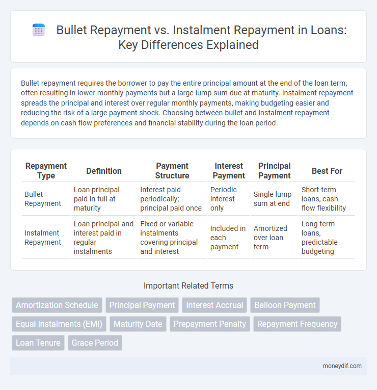 Bullet Repayment vs. Instalment Repayment in Loans: Key Differences Explained