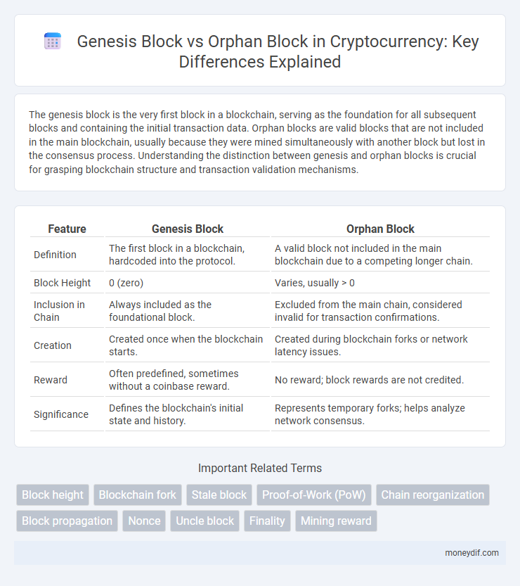 Genesis Block vs Orphan Block in Cryptocurrency: Key Differences Explained