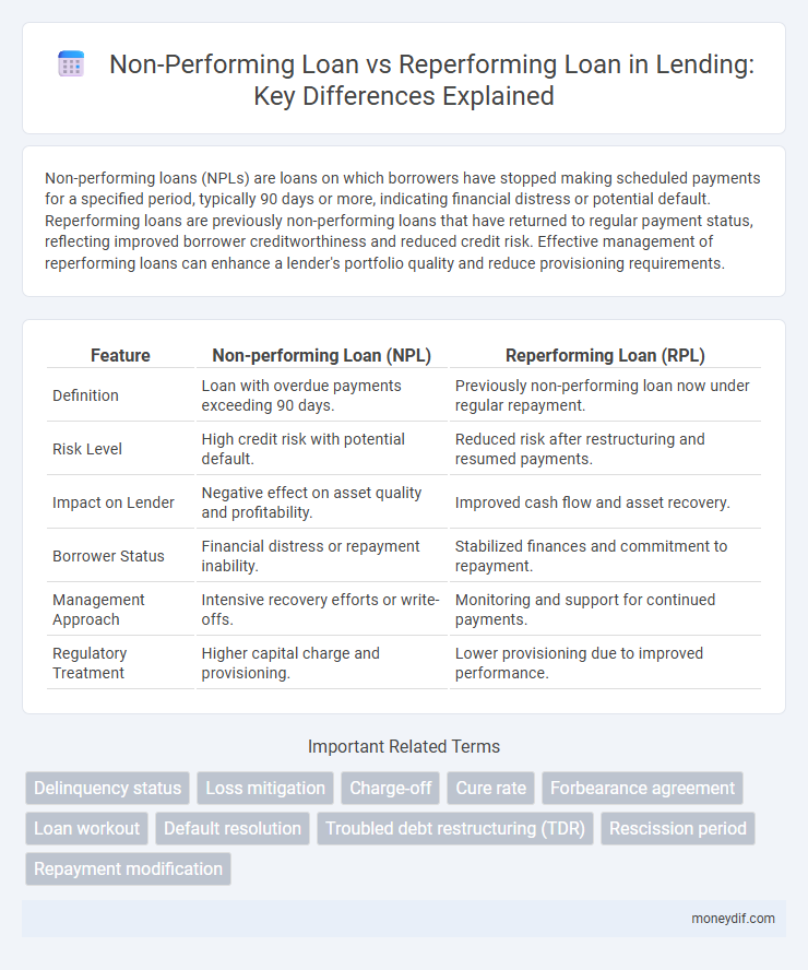 Non-Performing Loan vs Reperforming Loan in Lending: Key Differences Explained