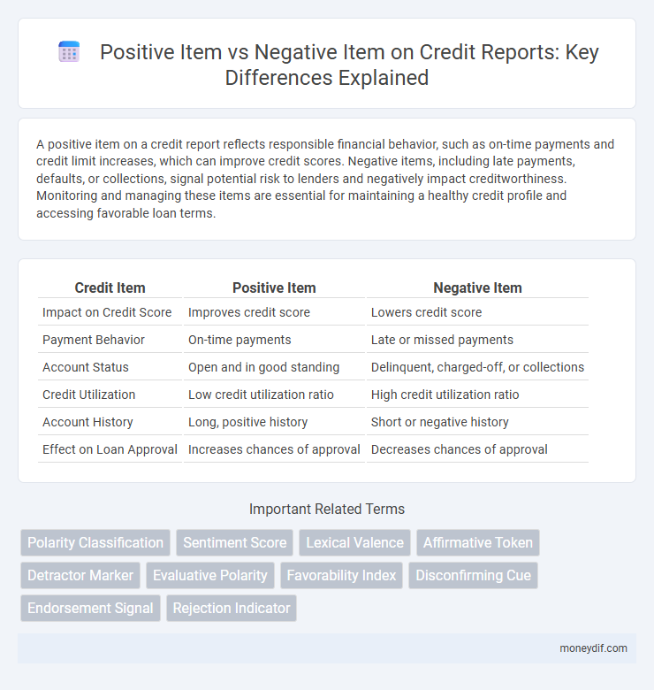 Positive Item vs Negative Item on Credit Reports: Key Differences Explained