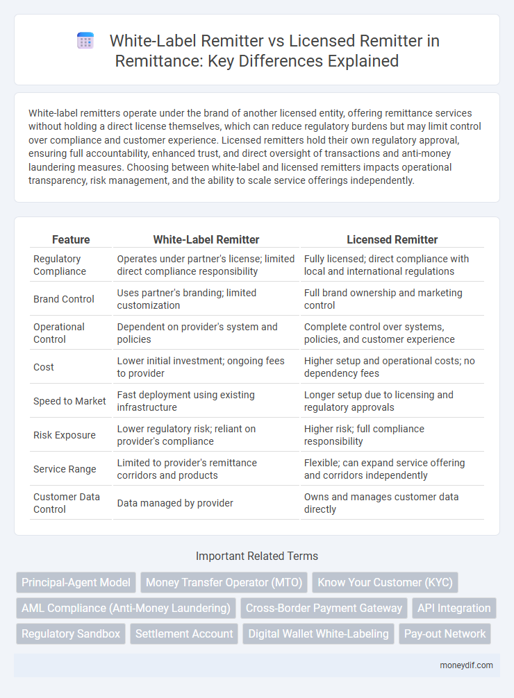 White-Label Remitter vs Licensed Remitter in Remittance: Key Differences Explained