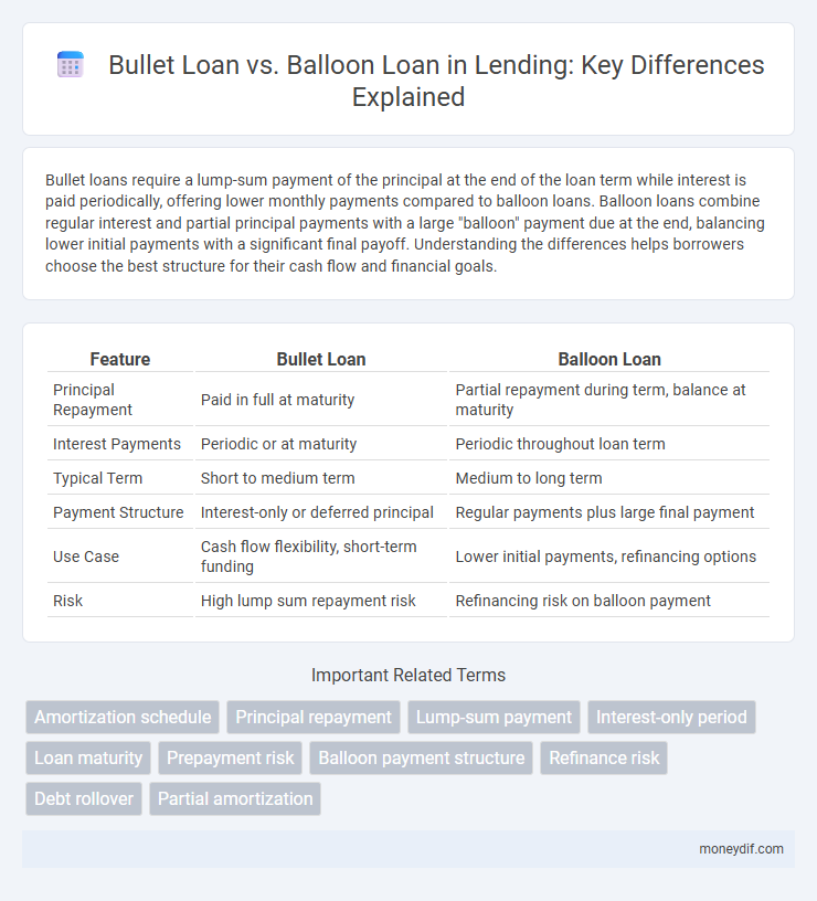 Bullet Loan vs. Balloon Loan in Lending: Key Differences Explained