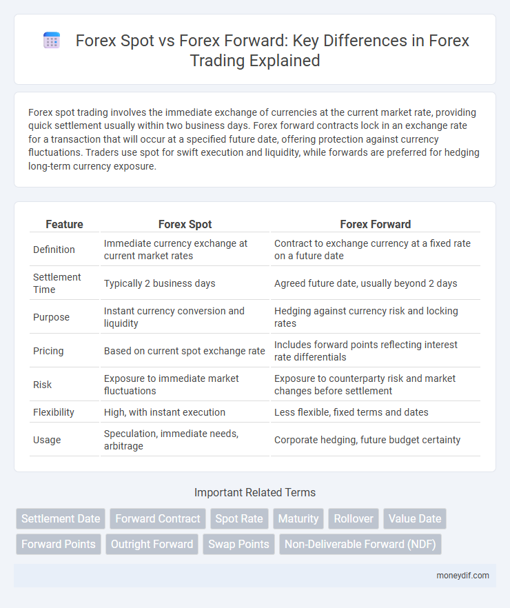 Forex Spot vs Forex Forward: Key Differences in Forex Trading Explained