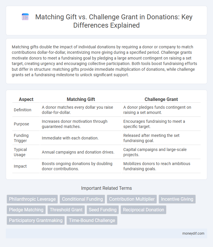 Matching Gift vs. Challenge Grant in Donations: Key Differences Explained