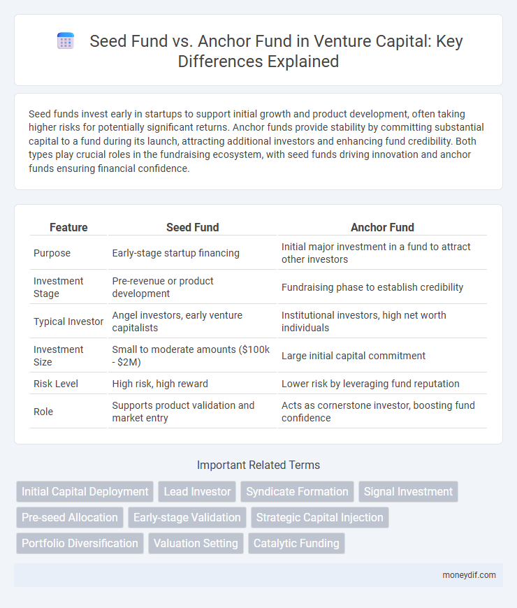 Seed Fund vs. Anchor Fund in Venture Capital: Key Differences Explained