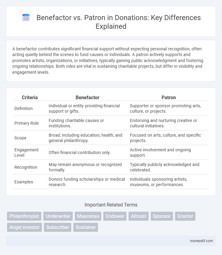 Benefactor vs. Patron in Donations: Key Differences Explained