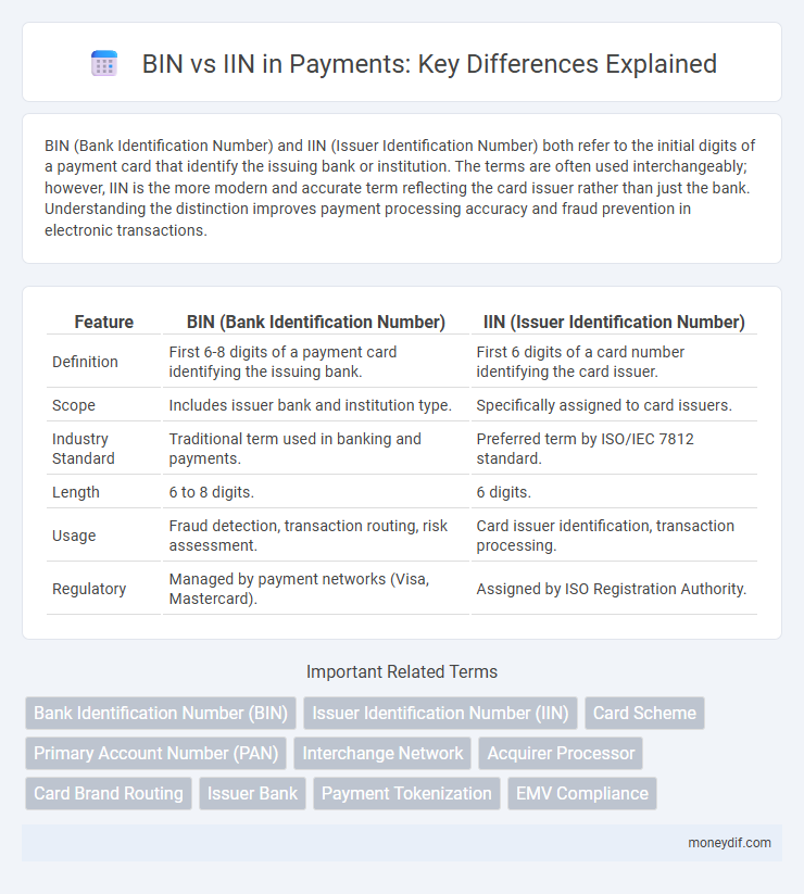 BIN vs IIN in Payments: Key Differences Explained
