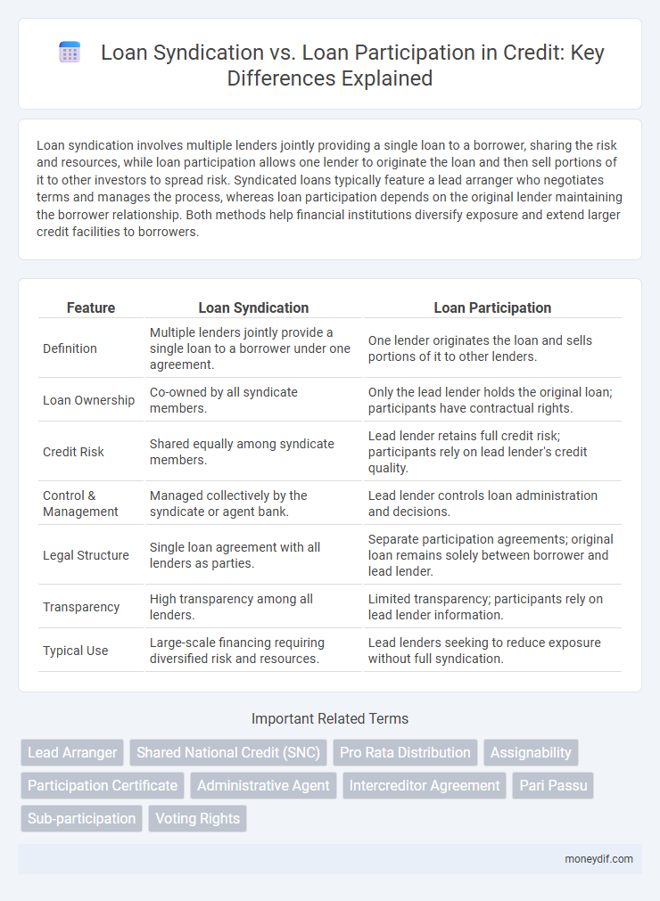 Loan Syndication vs. Loan Participation in Credit: Key Differences Explained