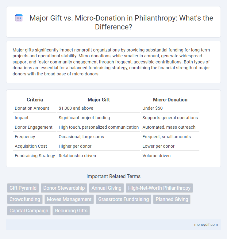 Major Gift vs. Micro-Donation in Philanthropy: What's the Difference?