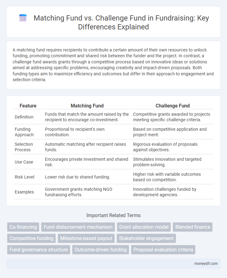 Matching Fund vs. Challenge Fund in Fundraising: Key Differences Explained