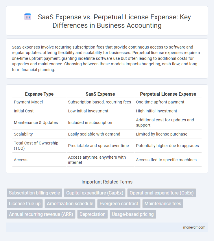 SaaS Expense vs. Perpetual License Expense: Key Differences in Business Accounting