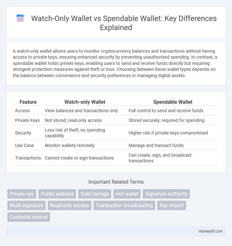 Watch-Only Wallet vs Spendable Wallet: Key Differences Explained