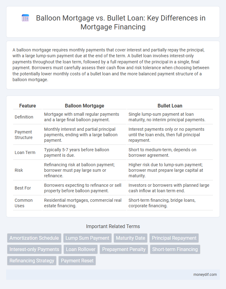 Balloon Mortgage vs. Bullet Loan: Key Differences in Mortgage Financing