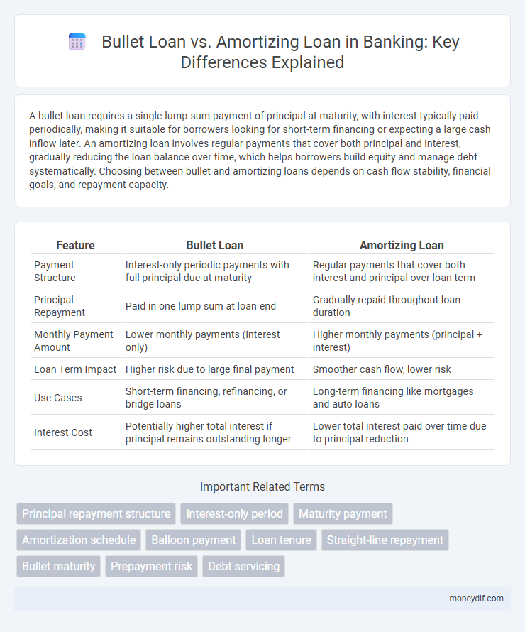 Bullet Loan vs. Amortizing Loan in Banking: Key Differences Explained