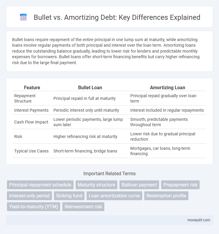 Bullet vs. Amortizing Debt: Key Differences Explained