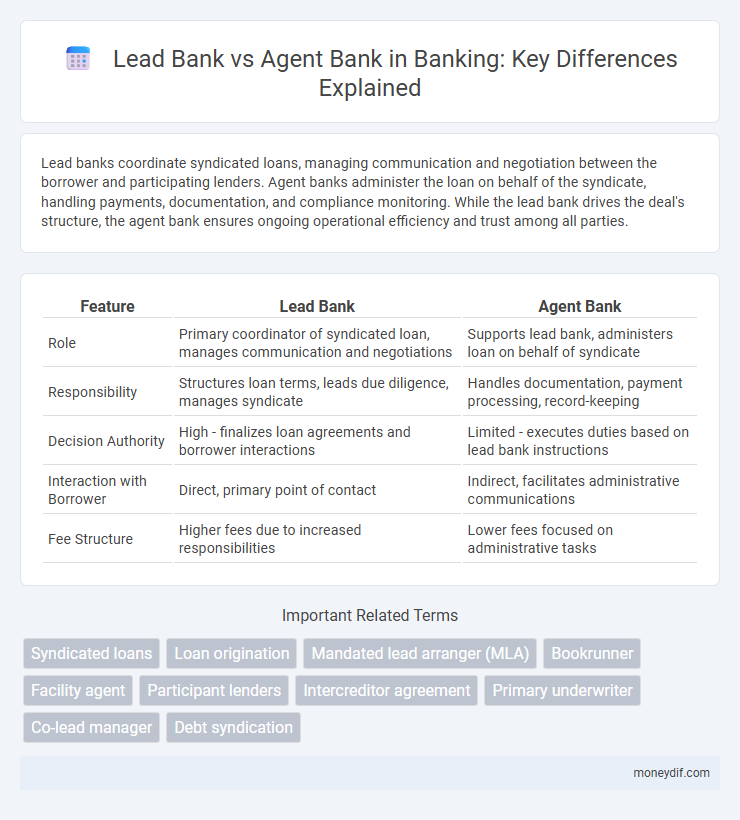 Lead Bank vs Agent Bank in Banking: Key Differences Explained