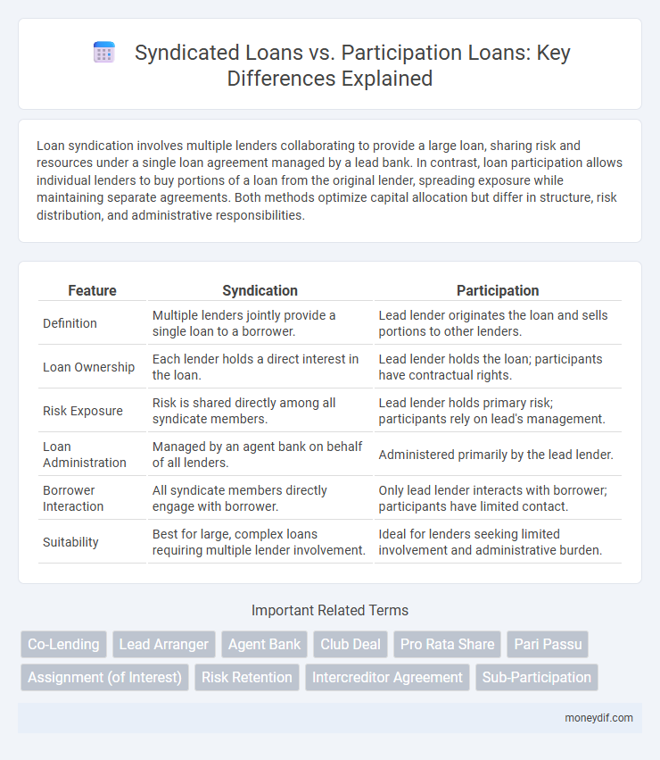 Syndicated Loans vs. Participation Loans: Key Differences Explained