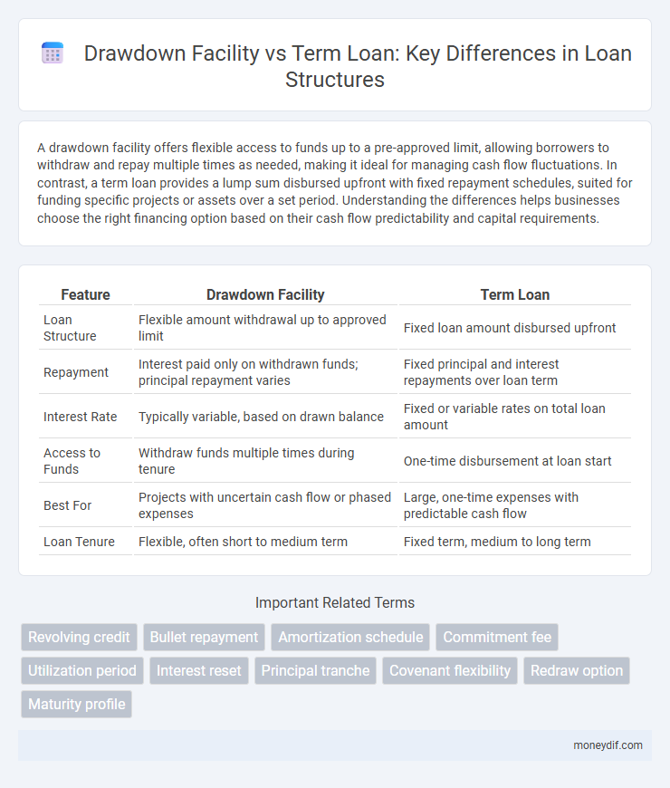 Drawdown Facility vs Term Loan: Key Differences in Loan Structures