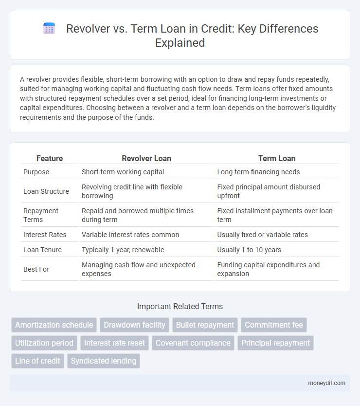 Revolver vs. Term Loan in Credit: Key Differences Explained