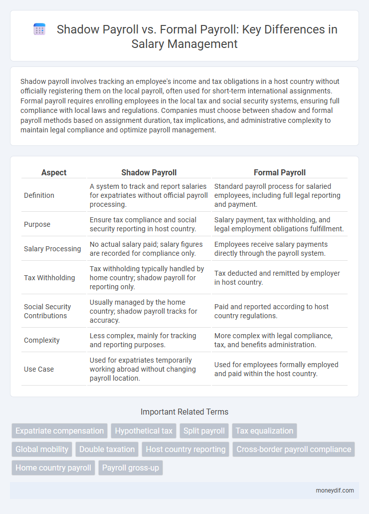Shadow Payroll vs. Formal Payroll: Key Differences in Salary Management