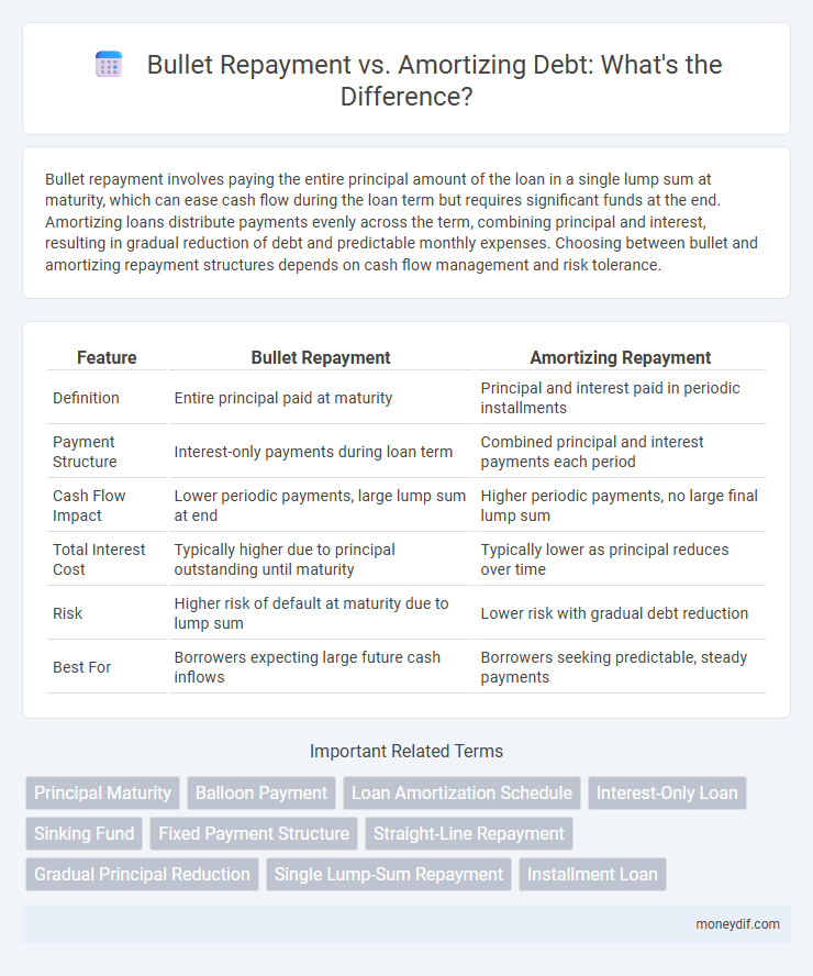 Bullet Repayment vs. Amortizing Debt: What's the Difference?