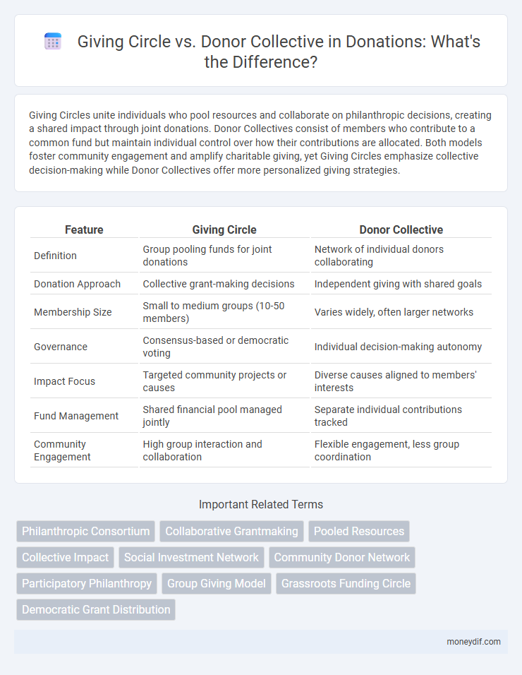 Giving Circle vs. Donor Collective in Donations: What's the Difference?