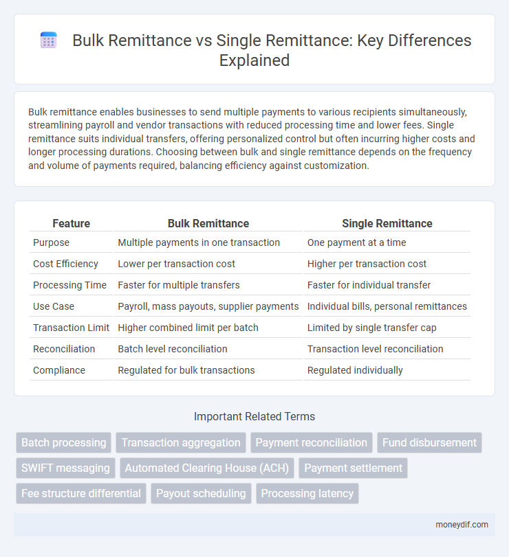 Bulk Remittance vs Single Remittance: Key Differences Explained