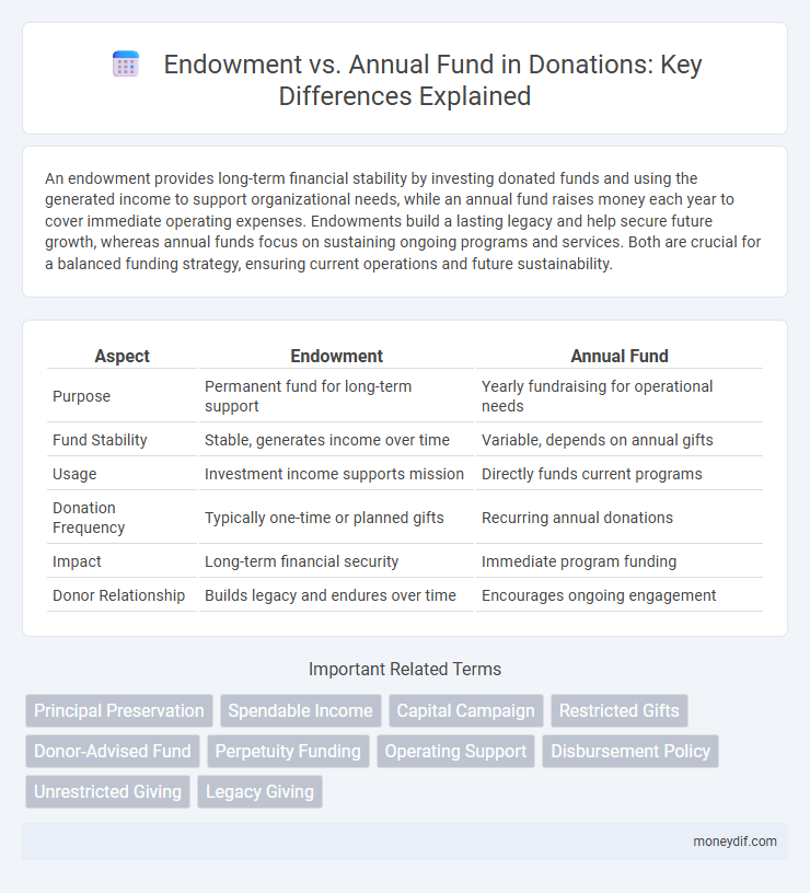 Endowment vs. Annual Fund in Donations: Key Differences Explained