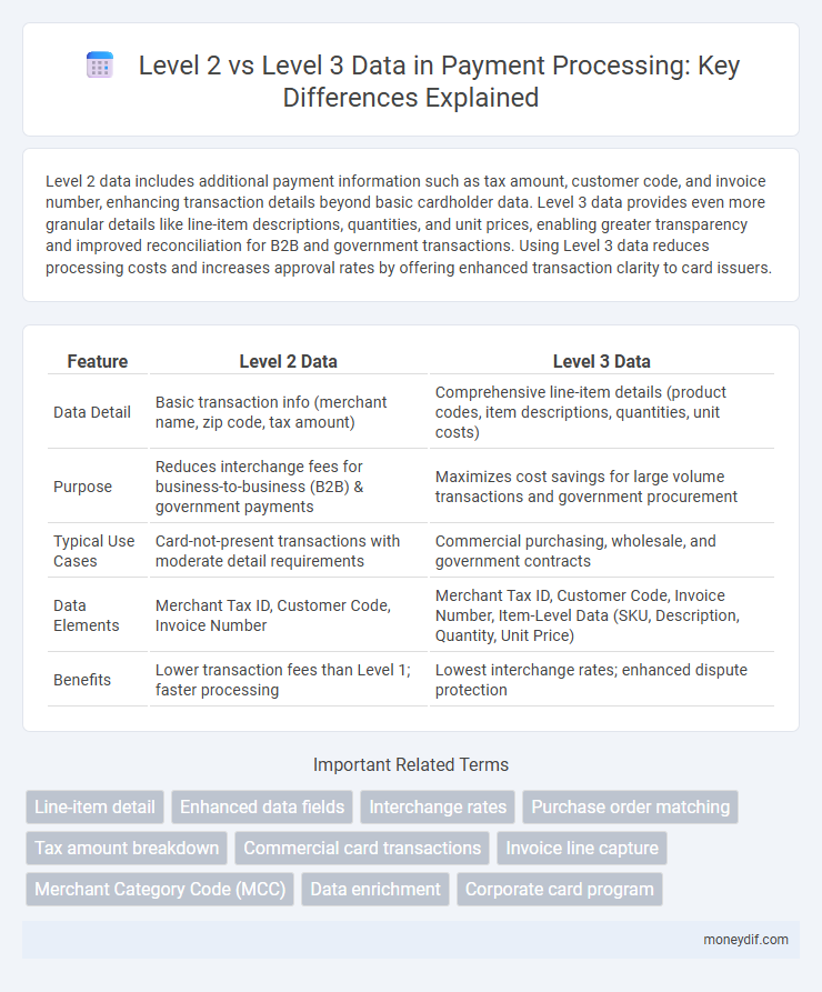 Level 2 vs Level 3 Data in Payment Processing: Key Differences Explained